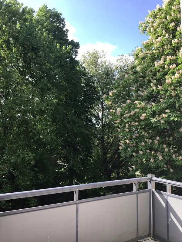 2 Zimmer Wohnung mit 50 m² in Essen – Bild 8