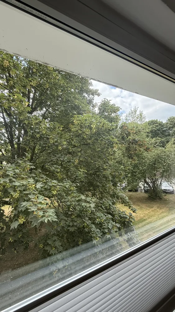 2 Zimmer Wohnung mit 55 m² in Wuppertal – Bild 4