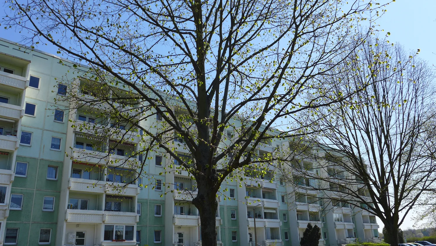 3 Zimmer Wohnung mit 67 m² in Borna – Bild 1