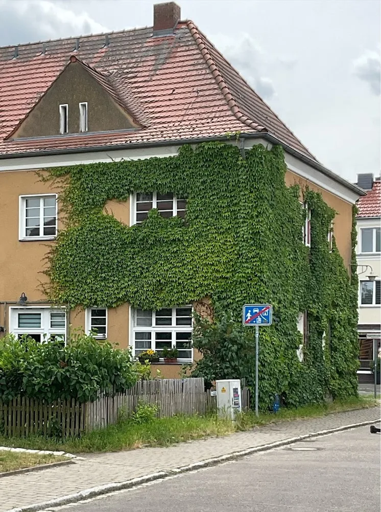 3 Zimmer Wohnung mit 81 m² in Wittenberg – Bild 11