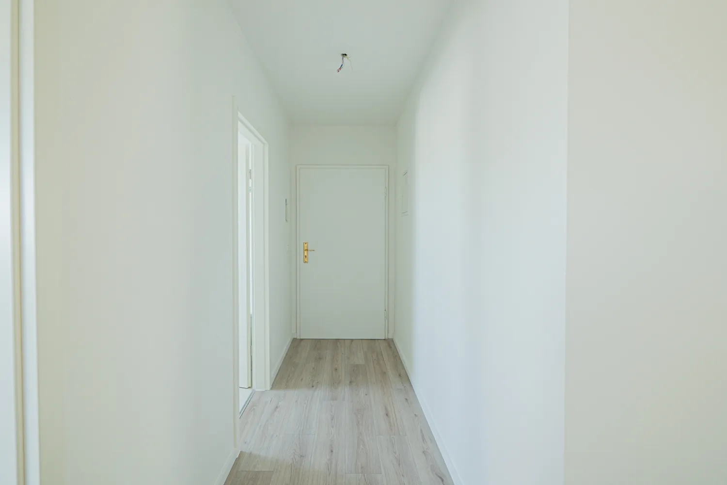 2 Zimmer Wohnung mit 51 m² in Dresden – Bild 3