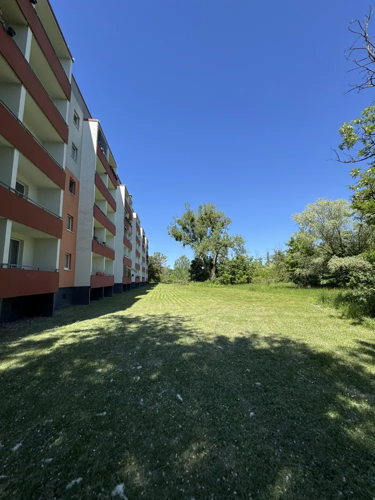 2 Zimmer Wohnung mit 49 m² in Magdeburg – Bild 7
