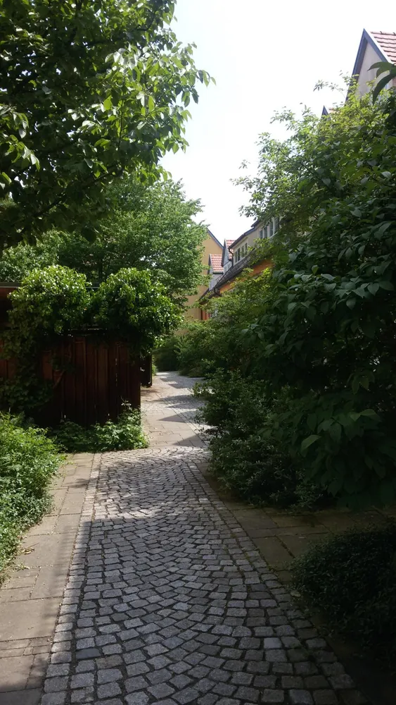 1 room apartment with 30 m² in Radebeul – Photo 1