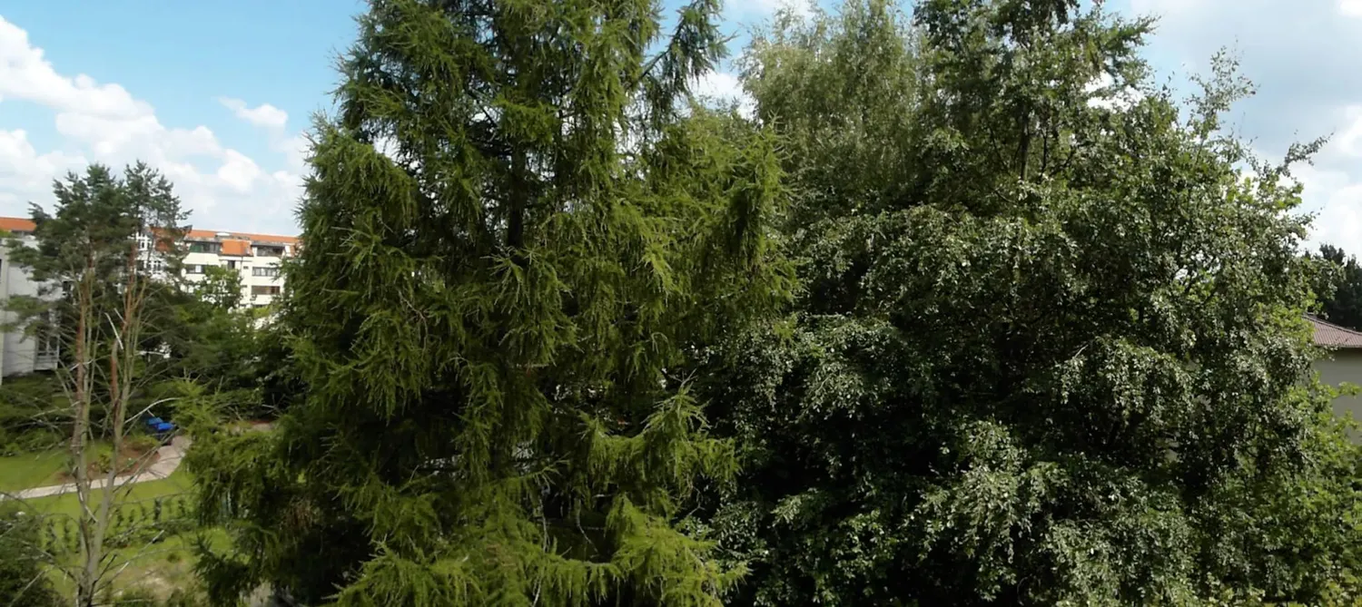 Shared room with 17 m² in Berlin – Photo 10