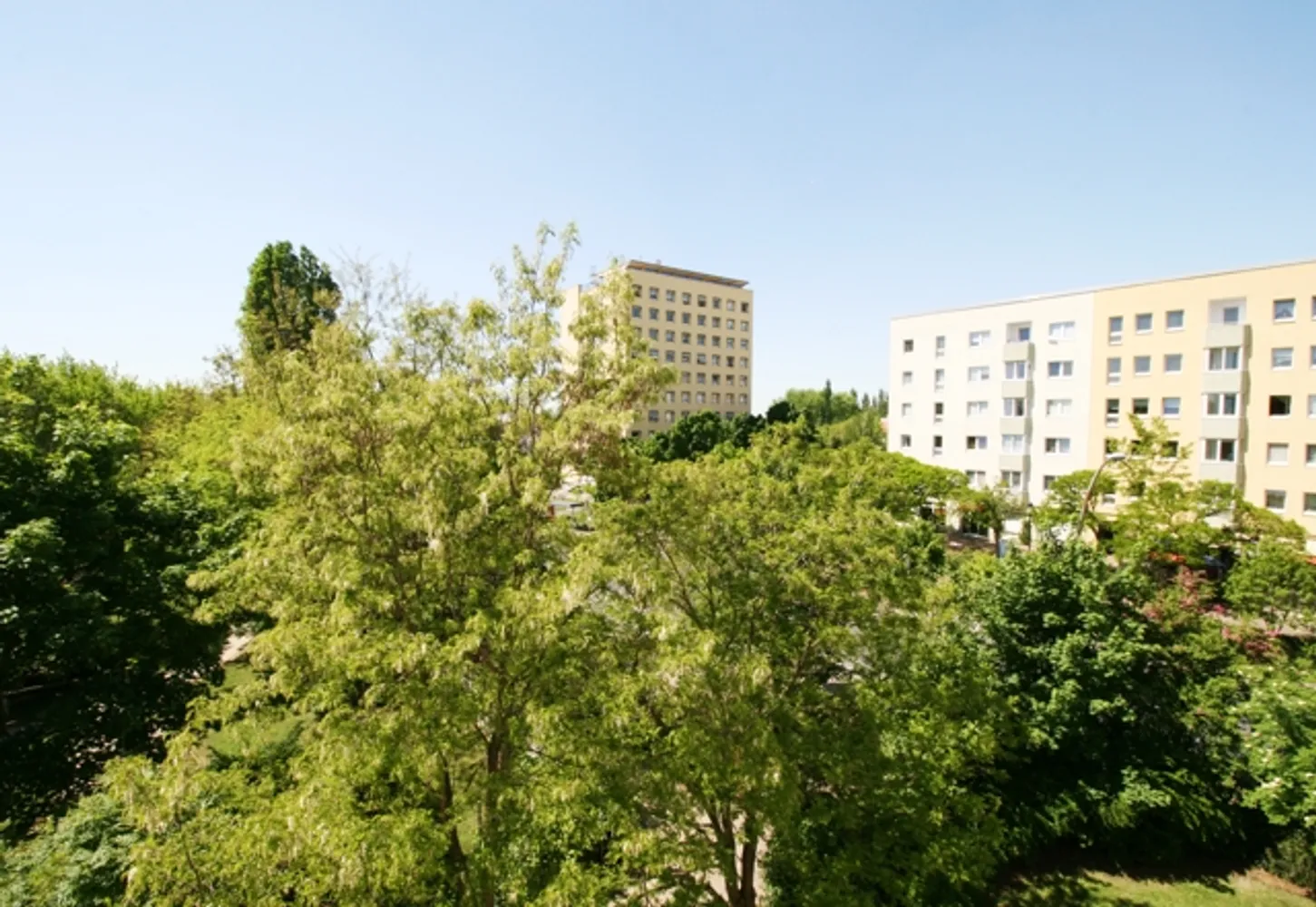 3 room apartment with 58 m² in Riesa – Photo 11