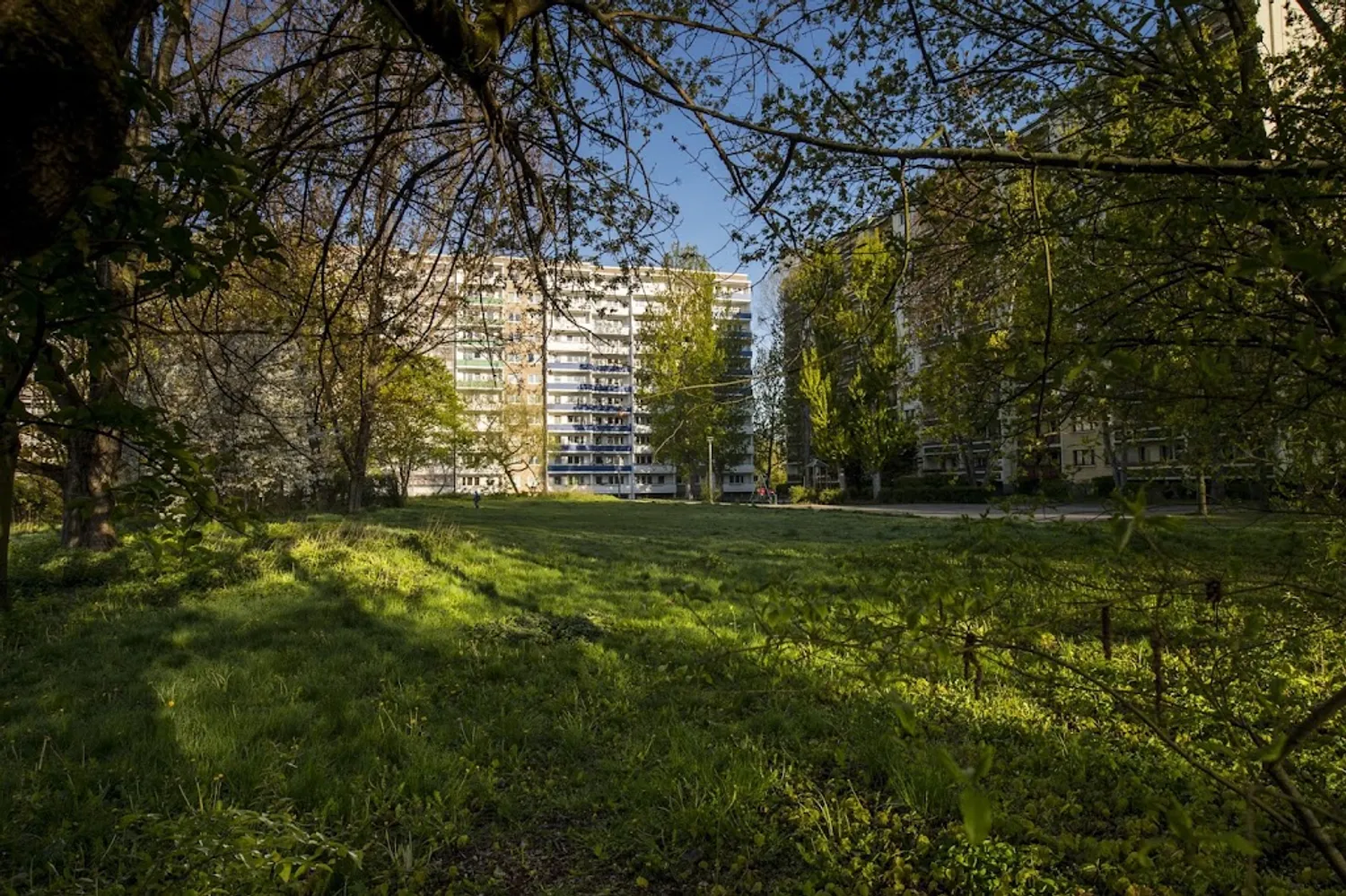1 Zimmer Wohnung mit 33 m² in Berlin – Bild 3