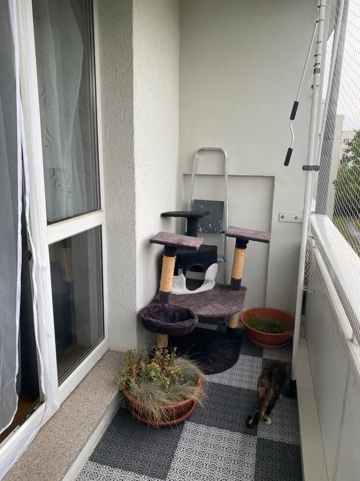 3 Zimmer Wohnung mit 59 m² in Halle (Saale) – Bild 6
