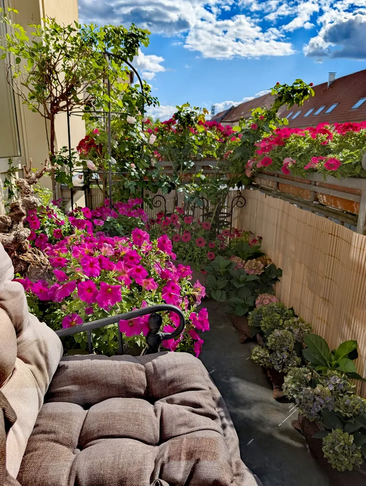 2 Zimmer Wohnung mit 60 m² in Potsdam – Bild 9