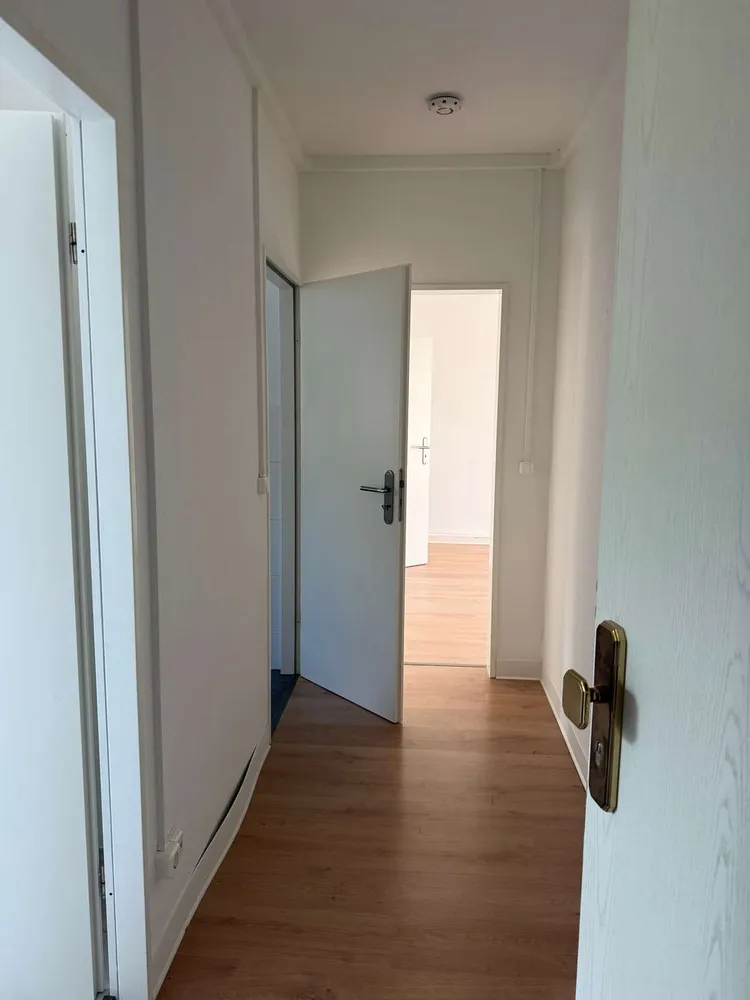 2 Zimmer Wohnung mit 50 m² in Dresden – Bild 2