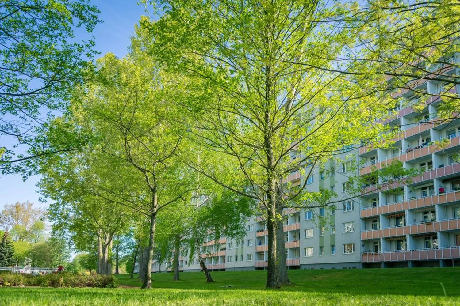 3 Zimmer Wohnung mit 71 m² in Chemnitz – Bild 5