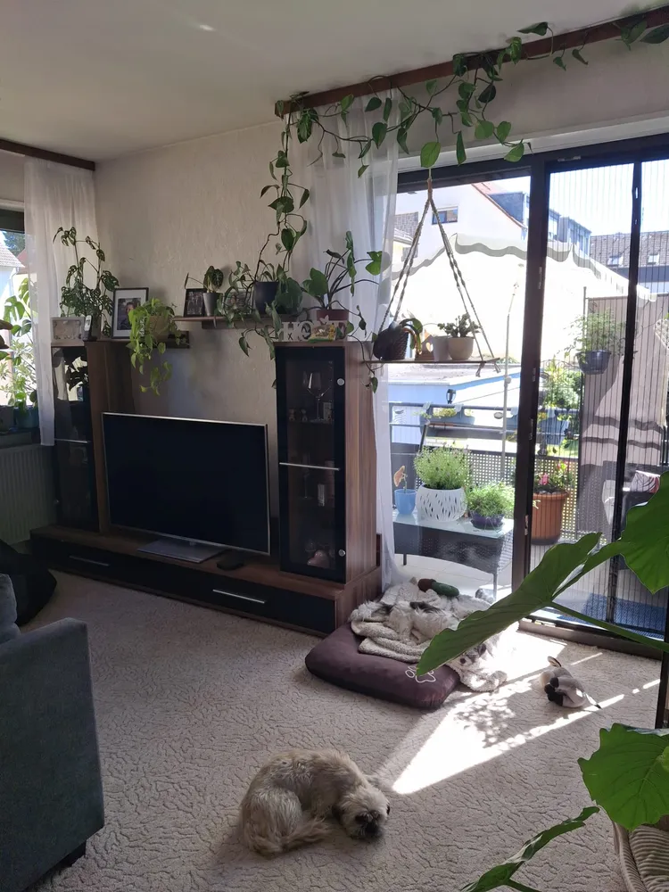 3 Zimmer Wohnung mit 74 m² in Mannheim – Bild 10