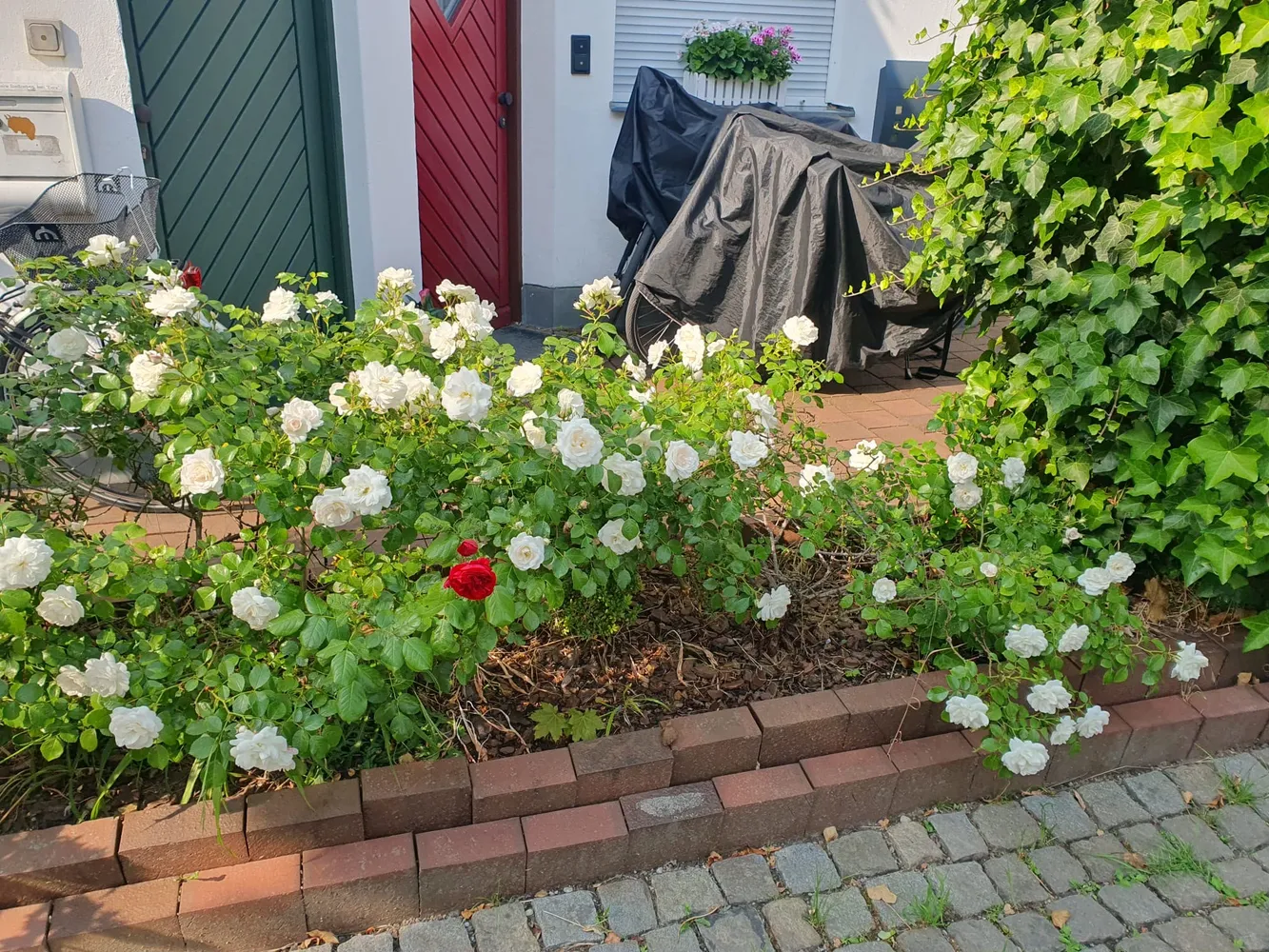 4 Zimmer Wohnung mit 89 m² in Augsburg – Bild 1