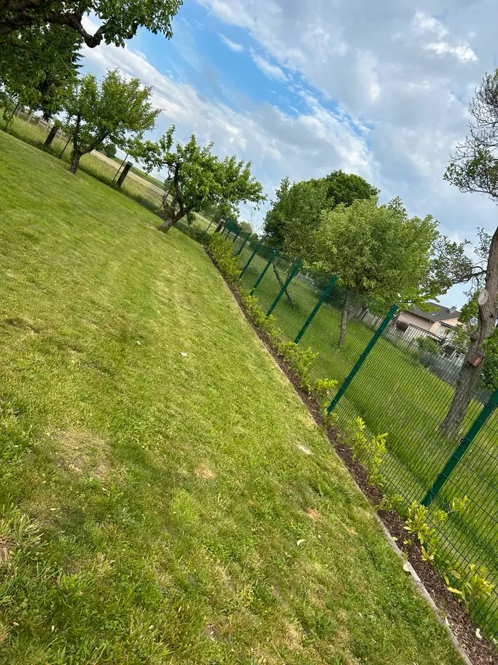 6 Zimmer Haus mit 150 m² in Rudolstadt – Bild 3