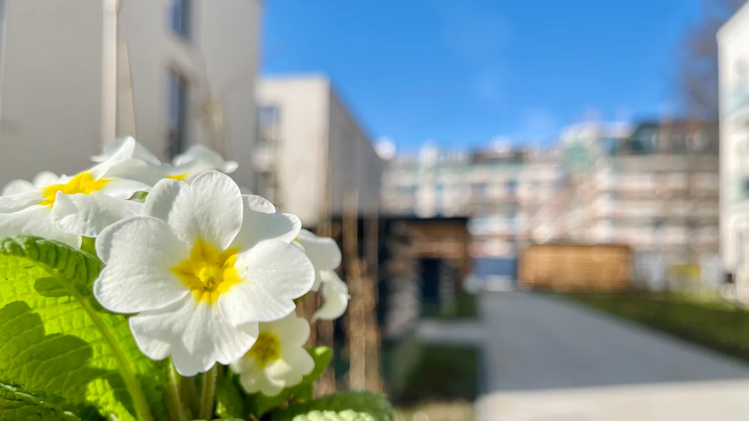 2 Zimmer Wohnung mit 49 m² in Leipzig – Bild 4