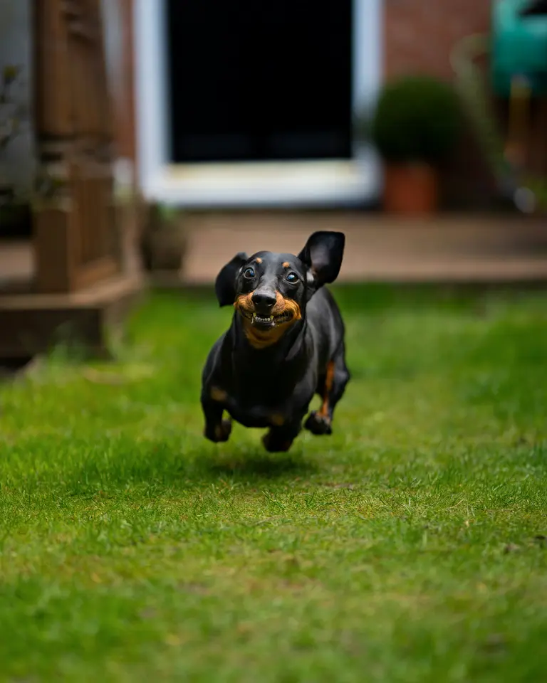 5 Zimmer Haus mit 136 m² in Minden – Bild 7