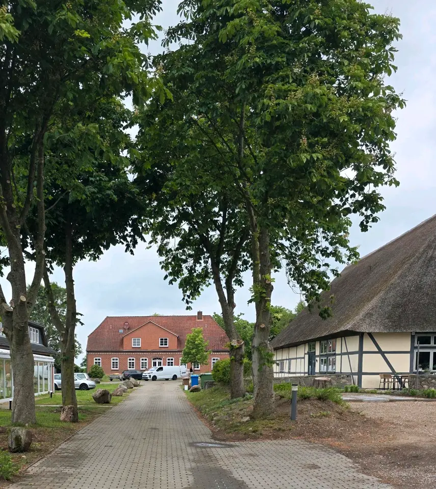 2 Zimmer Wohnung mit 20 m² in Lübeck – Bild 3