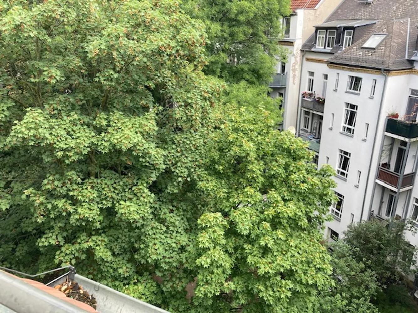 3 room apartment with 125 m² in Leipzig – Photo 9