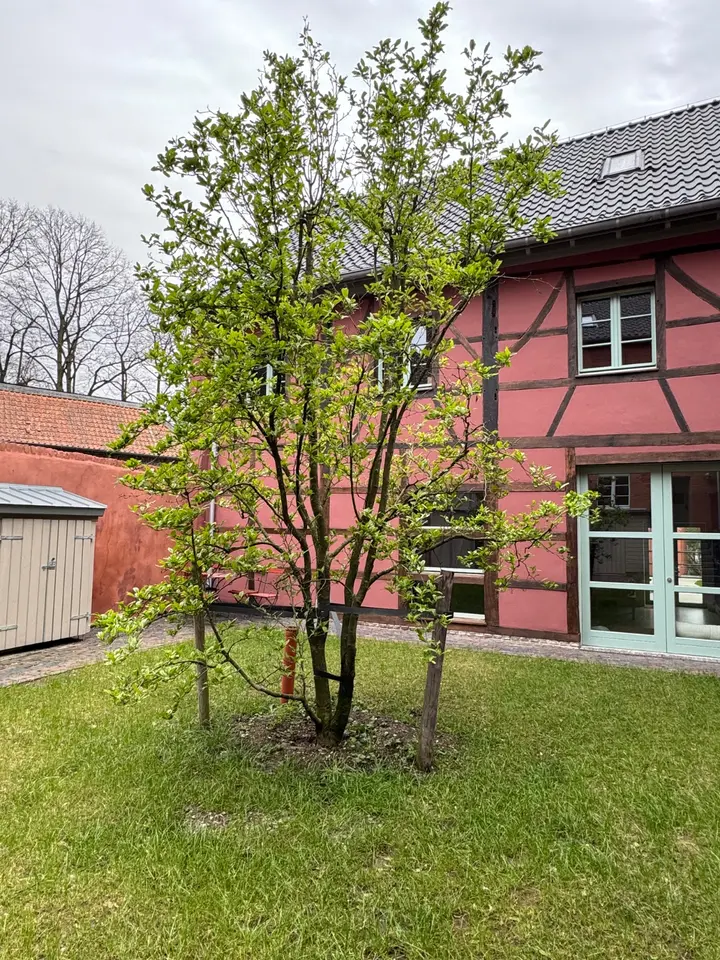 2 Zimmer Wohnung mit 68 m² in Nettetal – Bild 4