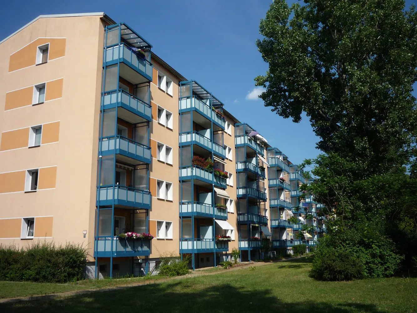 3 Zimmer Wohnung mit 61 m² in Cottbus – Bild 2