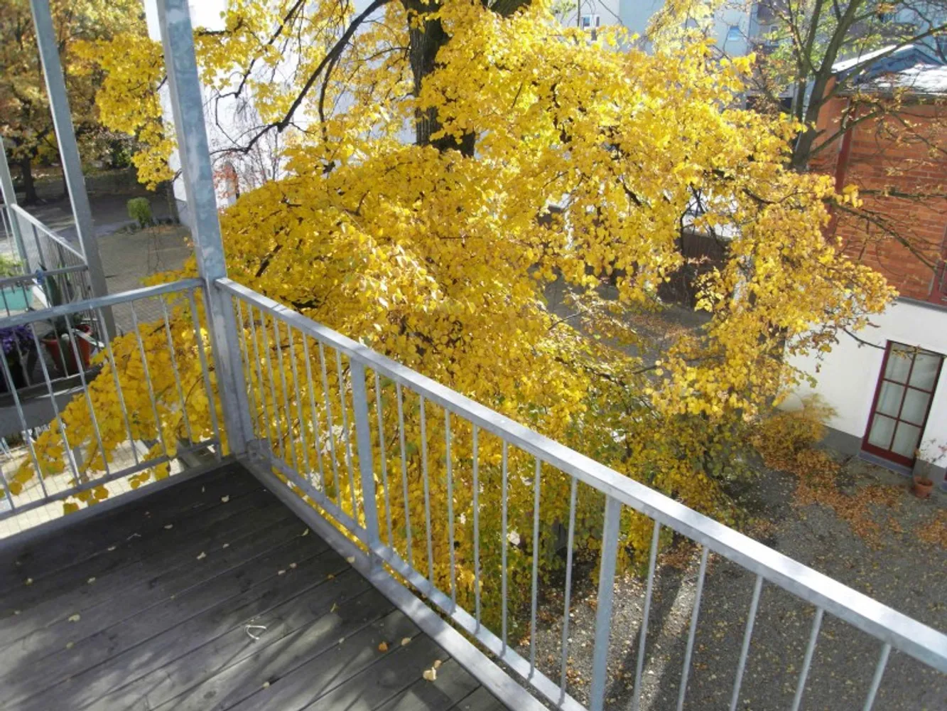 2 Zimmer Wohnung mit 52 m² in Leipzig – Bild 3