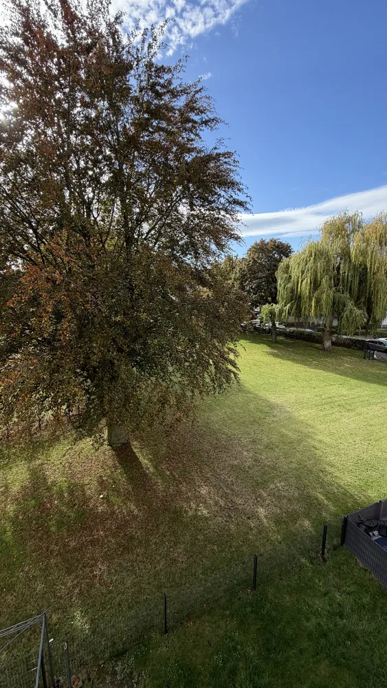 3 room apartment with 67 m² in Hanover – Photo 10