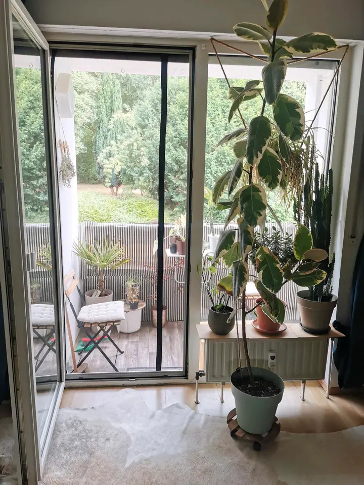 2 room apartment with 56 m² in Bottrop – Photo 7
