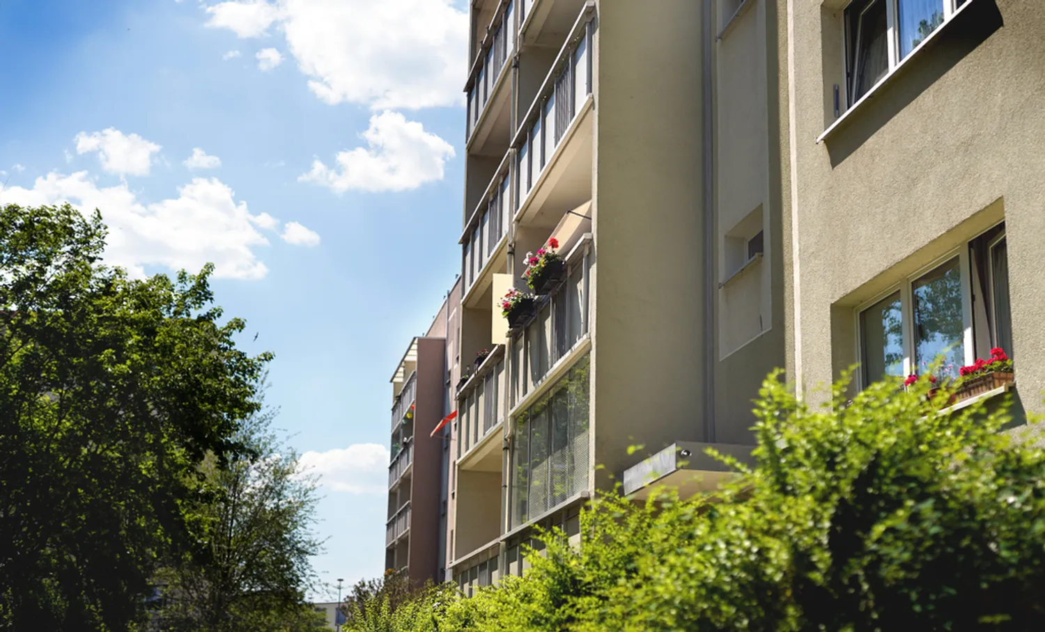 4 Zimmer Wohnung mit 76 m² in Neubrandenburg – Bild 3