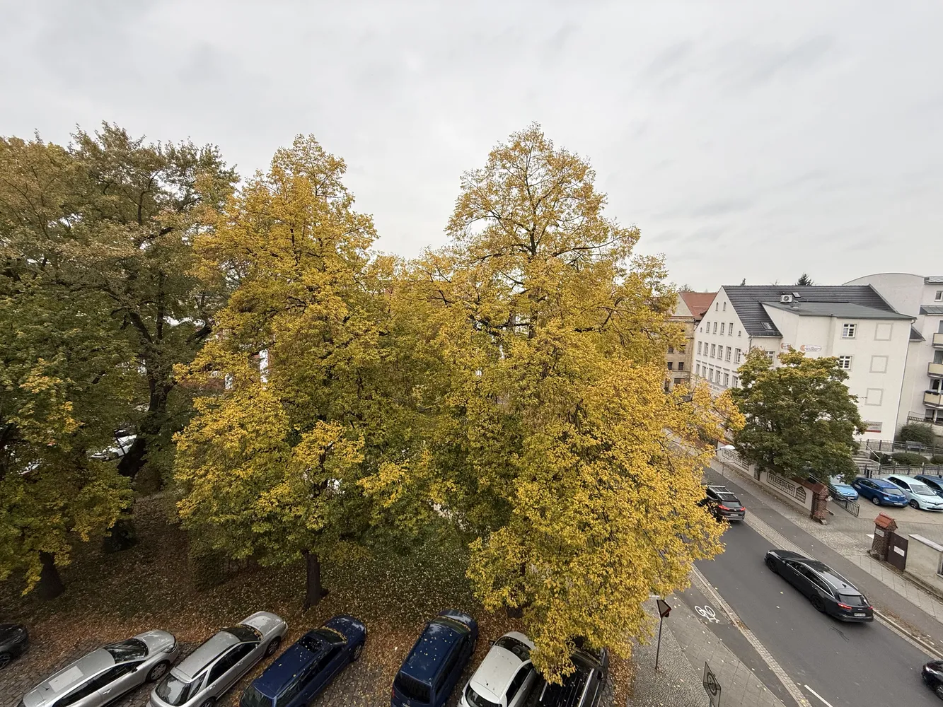 1 Zimmer Wohnung mit 30 m² in Görlitz – Bild 4
