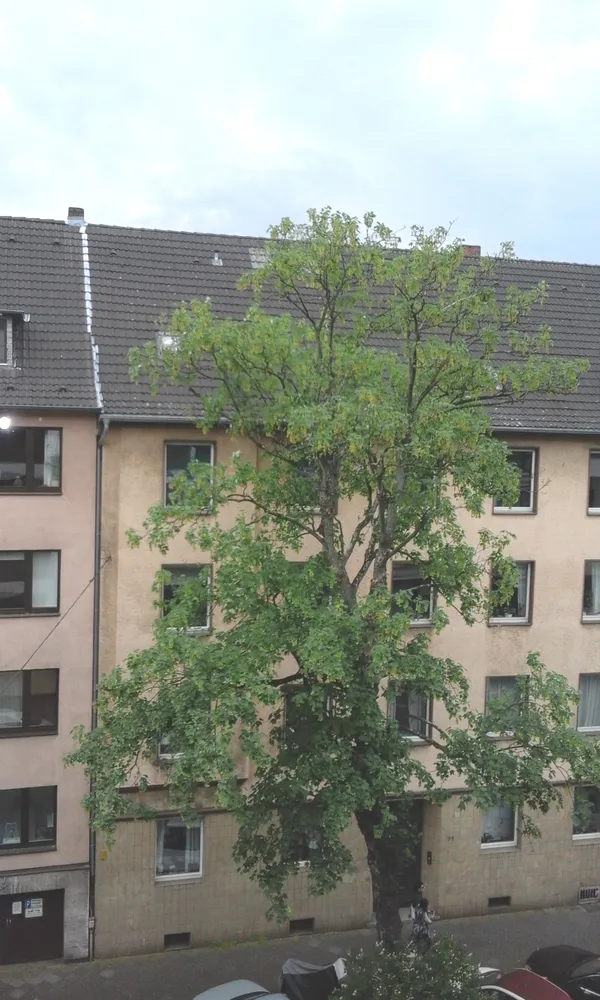 2 Zimmer Wohnung mit 72 m² in Düsseldorf – Bild 4