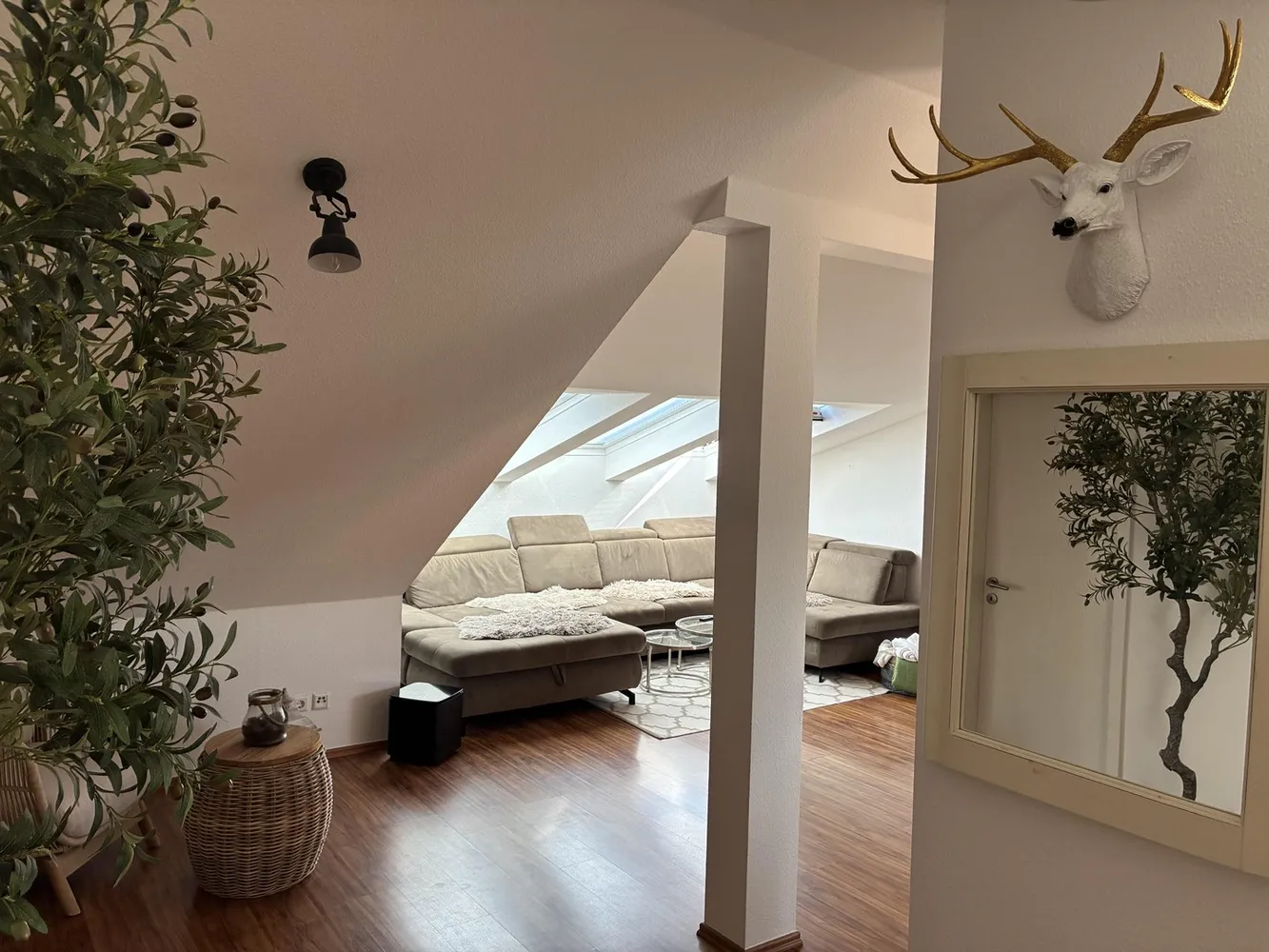 3 Zimmer Wohnung mit 80 m² in Dresden – Bild 4