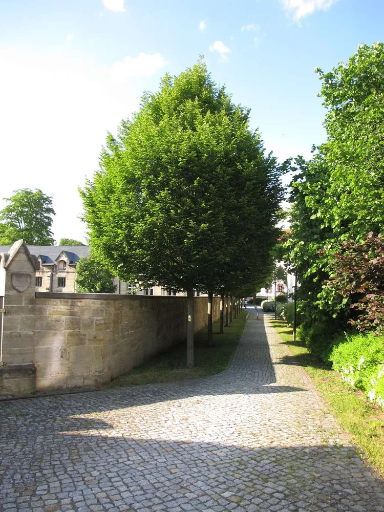 1 Zimmer Wohnung mit 23 m² in Meiningen – Bild 6