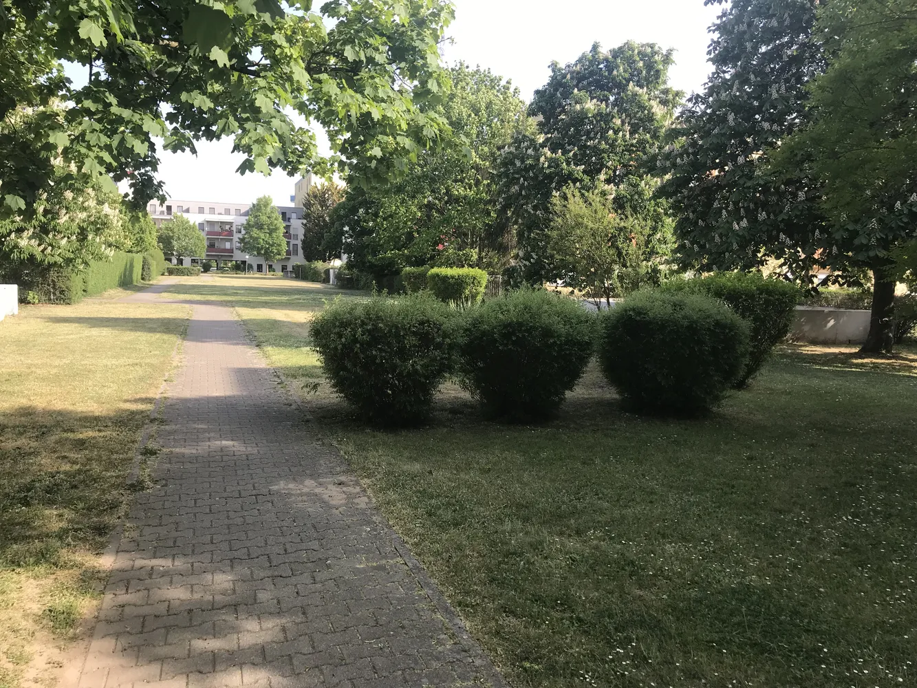 2 Zimmer Wohnung mit 29 m² in Karlsruhe – Bild 9
