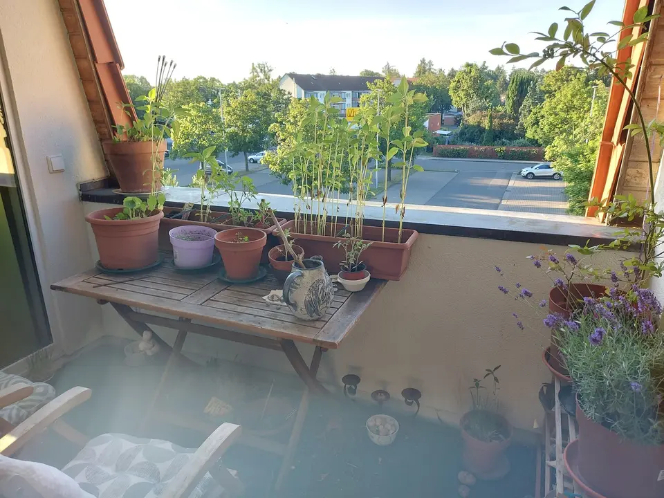 2 Zimmer Wohnung mit 54 m² in Bernau bei Berlin – Bild 6