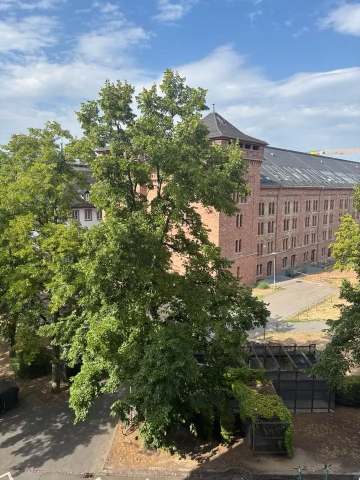 Studio mit 40 m² in Mainz – Bild 8