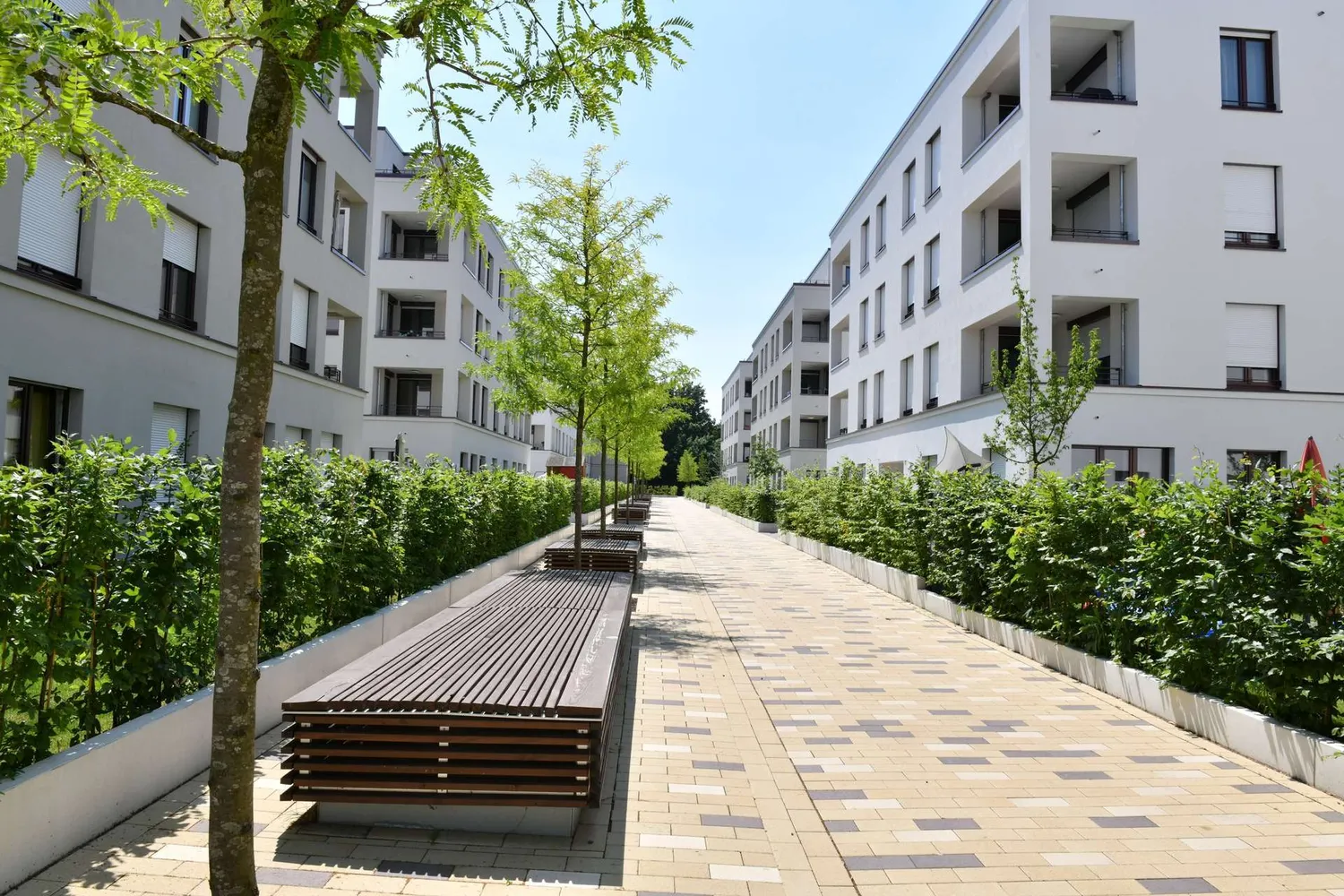 5 Zimmer Wohnung mit 184 m² in Mainz – Bild 1