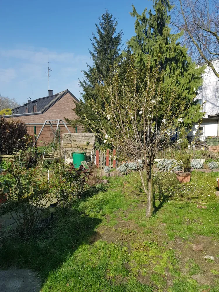 2 Zimmer Wohnung mit 75 m² in Duisburg – Bild 5