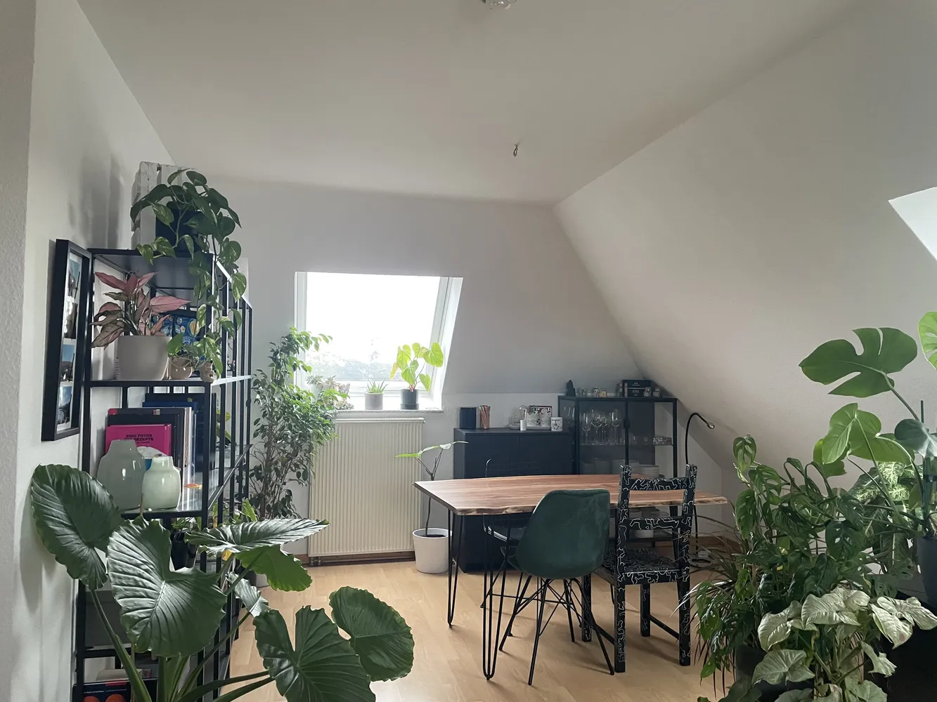 2 Zimmer Wohnung mit 55 m² in Köln – Bild 1
