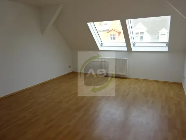 7 Zimmer Wohnung mit 105 m² in Zwickau – Bild 1