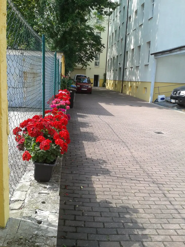 3 Zimmer Wohnung mit 77 m² in Halle (Saale) – Bild 5