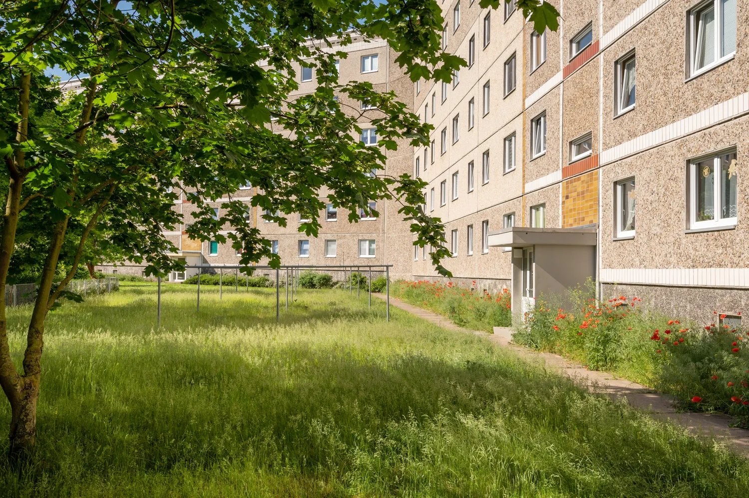 4 Zimmer Wohnung mit 75 m² in Neubrandenburg – Bild 3
