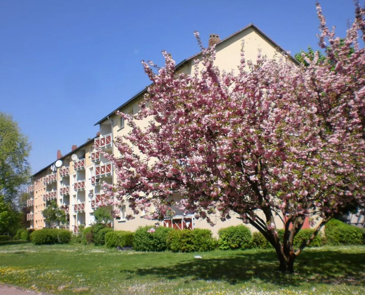 2 Zimmer Wohnung mit 47 m² in Frankfurt am Main – Bild 7