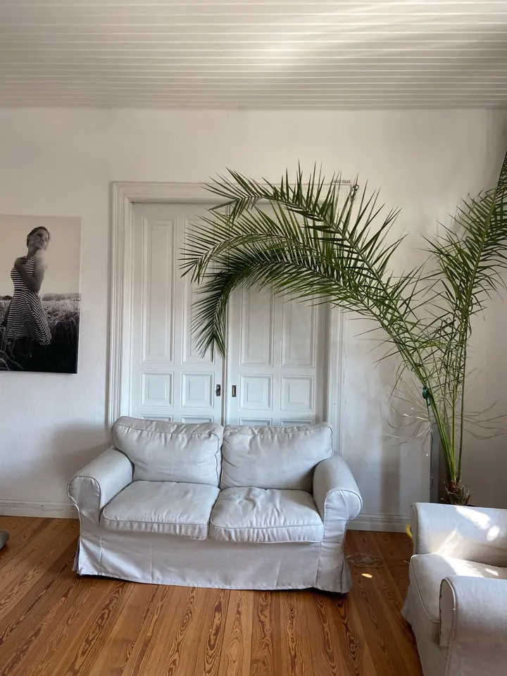 3 Zimmer Wohnung mit 75 m² in Kiel – Bild 1