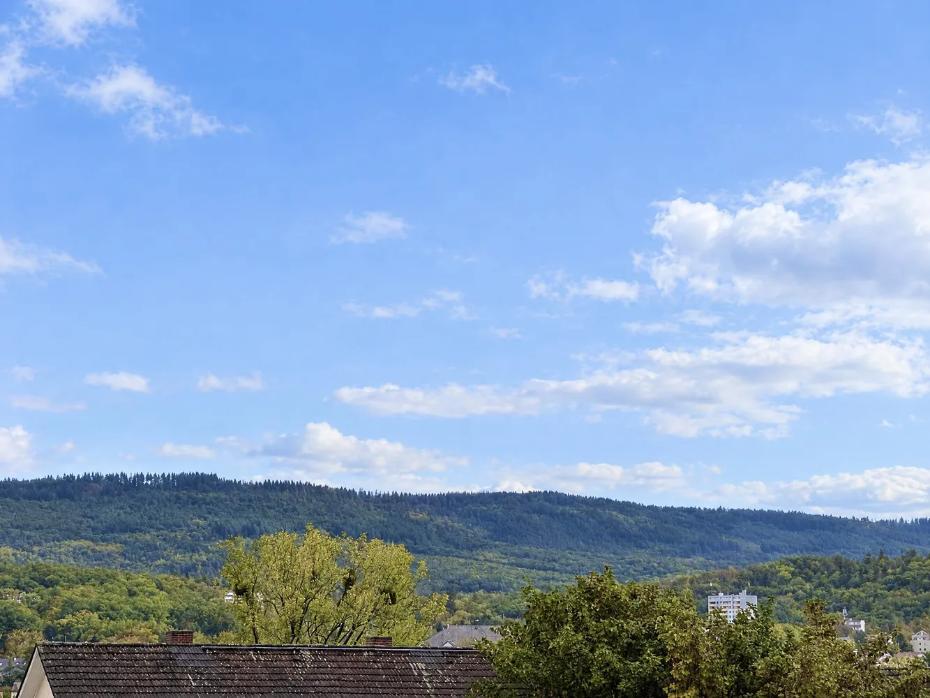 3 room apartment with 77 m² in Wiesbaden – Photo 2