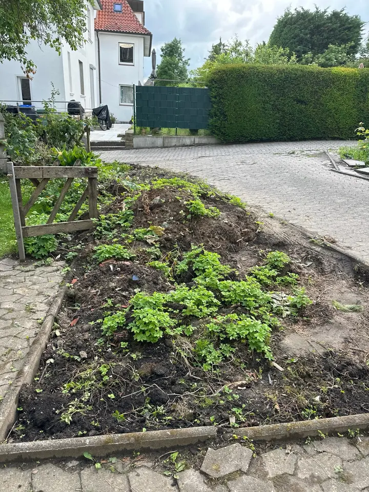2 Zimmer Wohnung mit 36 m² in Detmold – Bild 7