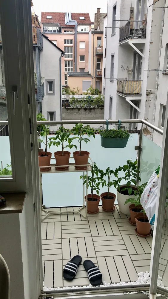 3 Zimmer Wohnung mit 90 m² in Mannheim – Bild 4