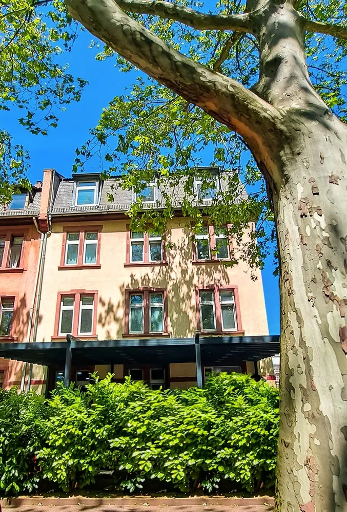 2 room apartment with 42 m² in Frankfurt am Main – Photo 5