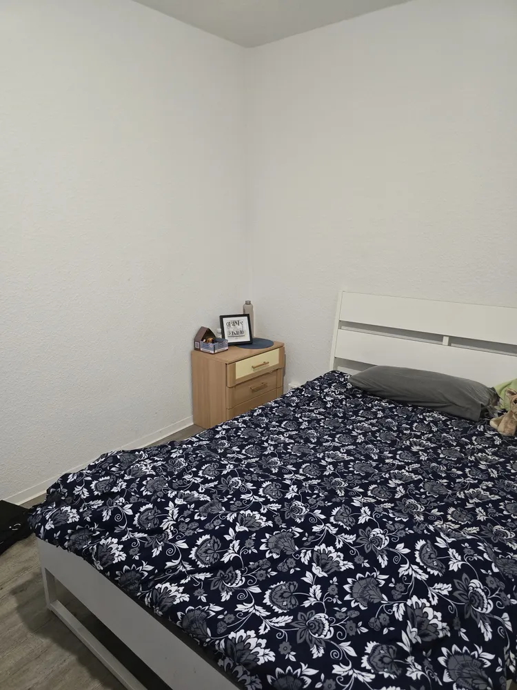 4 room apartment with 73 m² in Dresden – Photo 2