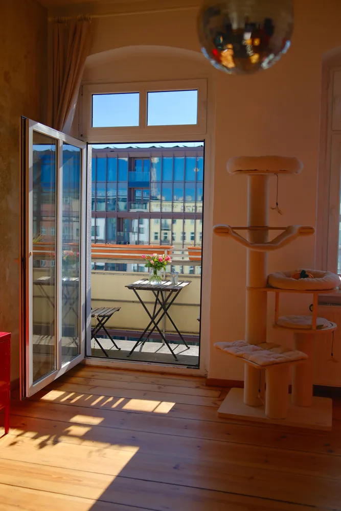 2 Zimmer Wohnung mit 70 m² in Berlin – Bild 4
