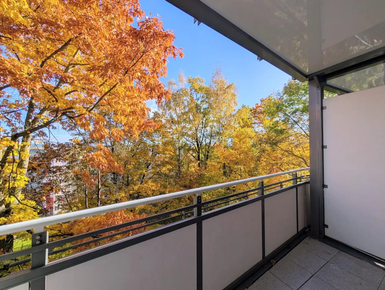 2 Zimmer Wohnung mit 42 m² in Chemnitz – Bild 9