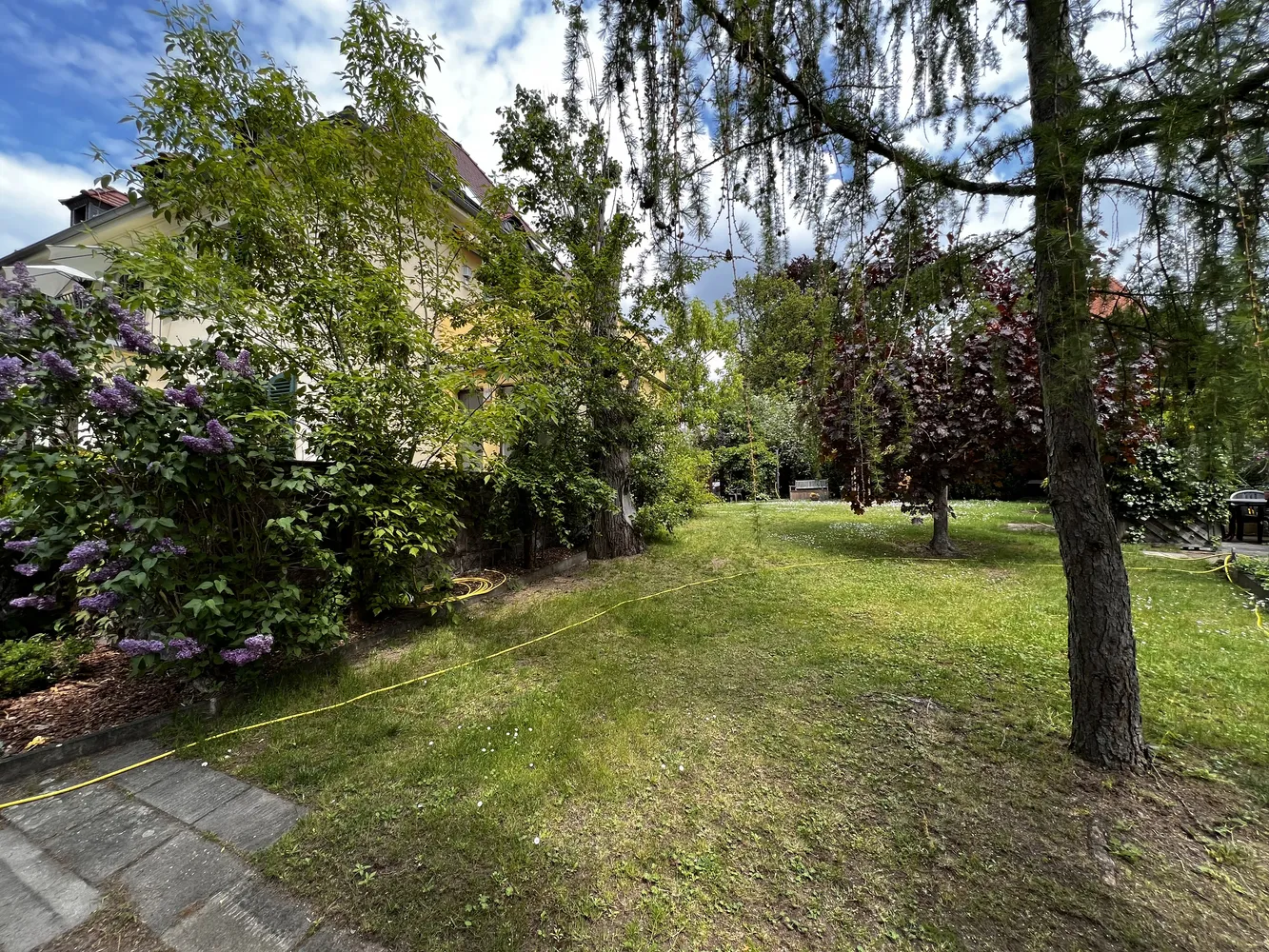 4 Zimmer Wohnung mit 180 m² in Meißen – Bild 4